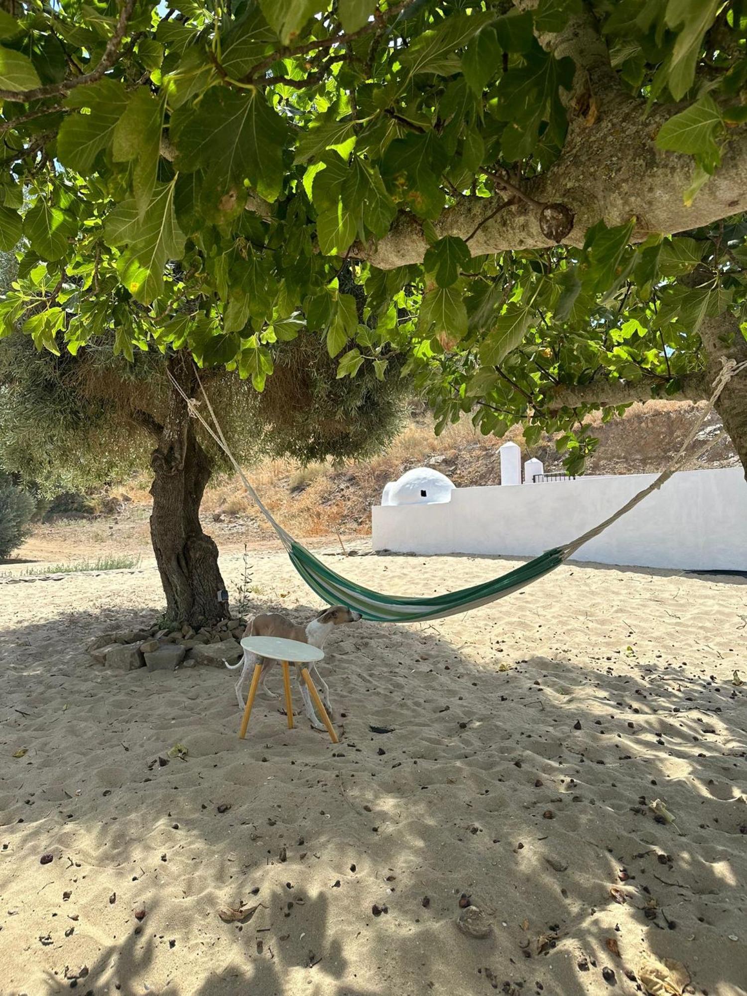 Magnifica Casa A Orillas Del Guadiana Huelva Esterno foto