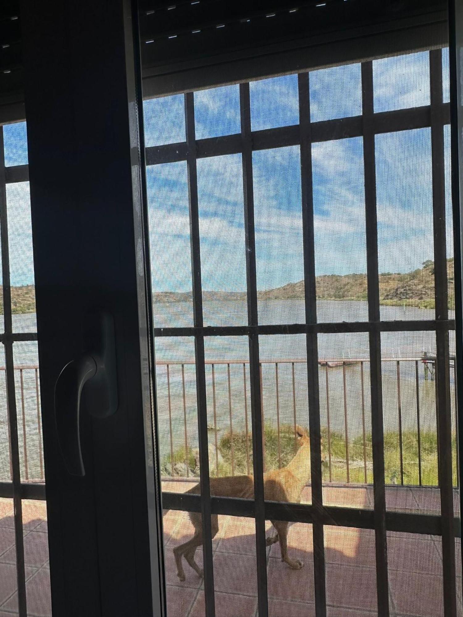 Magnifica Casa A Orillas Del Guadiana Huelva Esterno foto